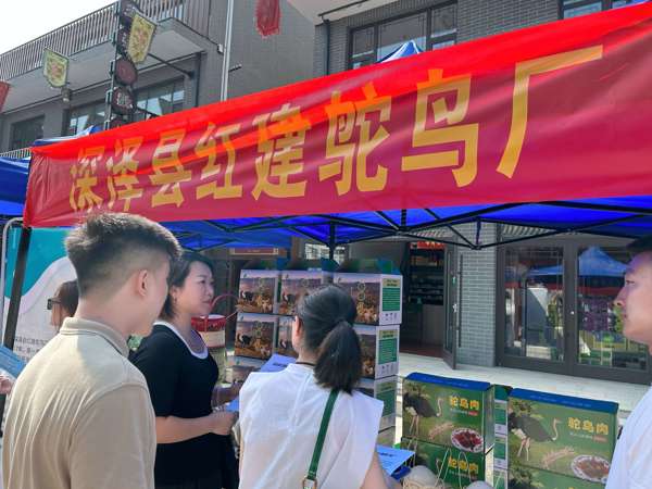 京石團隊選品.jpg 京石團隊選品.jpg